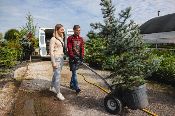 Lawn Watering Services